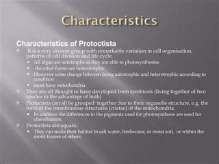 Protoctista Ppt | PPT