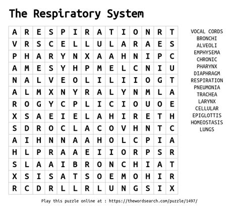 Download Word Search On The Respiratory System