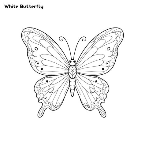 Premium Vector White Butterfly Hand Drawing Coloring Page And Outline