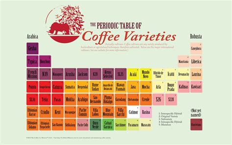 Infographic Periodic Table Of Coffee Varieties Or Cultivars Coffee