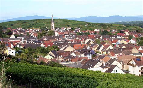 Ihringen Ist Bei Ferieng Sten Beliebt Ihringen Badische Zeitung