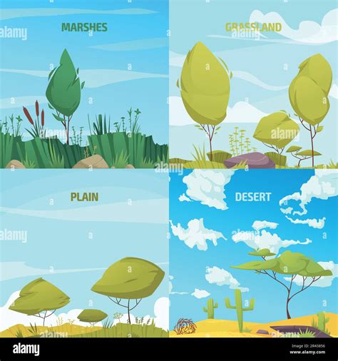 Composiciones De Dibujos Animados De Tipos De Ecosistemas Con Porn