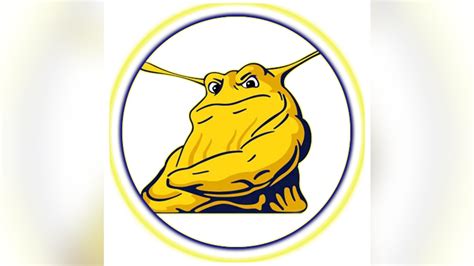 Look out, banana slug: UC Santa Cruz mulls scrapping NCAA sports | Fox News