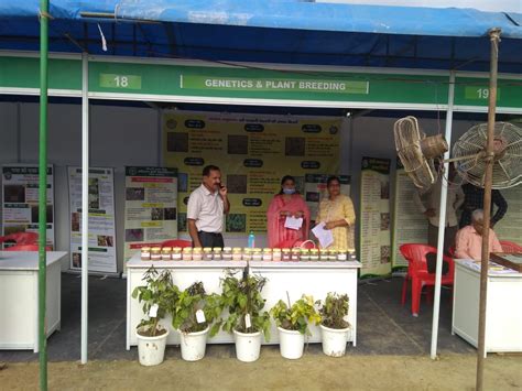 Exhibition Of Modern Agricultural Machines Seeds And Plants Will Be Held In The Fair A