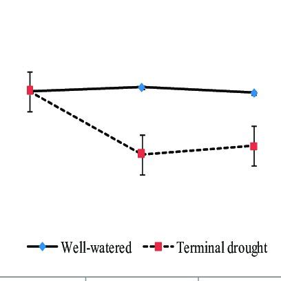 Relative Water Content RWC At Well Watered And Terminal Drought 1 3