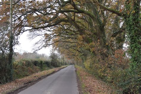 Steplake Road David Martin Geograph Britain And Ireland