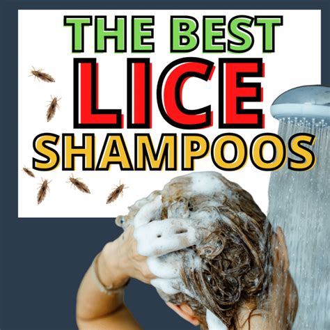 Best Lice Treatment Shampoos For Head Lice And Super Lice In