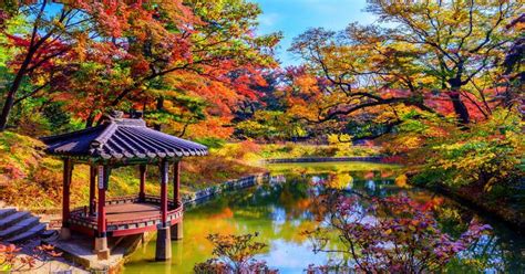 9 Attractions In South Korea You Should Head To In Autumn This Year