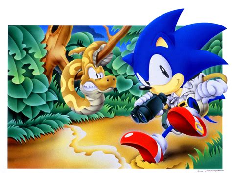 Sonic Superstars Video Game Tv Tropes