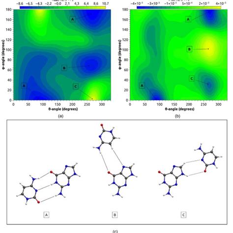 Guanine (G) cytosine (C) pair structure. The intermolecular... | Download Scientific Diagram