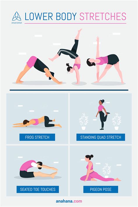 How to Stretch Your Lower Body | Lower body stretches, Mckenzie