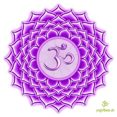 Sahasrara Chakra Das Oberste Chakra Der Sieben Hauptchakras