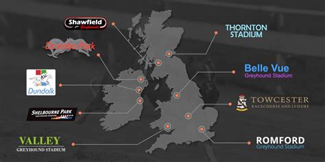 Your Guide to the Biggest and Best Greyhound Racing Tracks in the UK