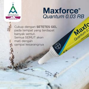 Jual Maxforce Quantum Gel Semut Bayer Pembasmi Semut 5Gr Kab