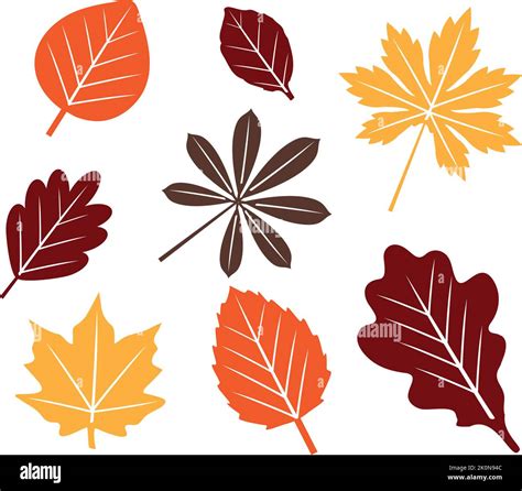 Vector Illustration Of Fall Autumn Leaves Stock Vector Image And Art Alamy