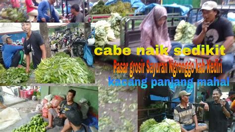 LIVE HARGA SAYURAN BORONGAN KACANG DAN TIMUN MAHAL PASAR NGRONGGO