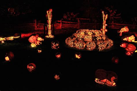 Pumpkin Inferno! Upper Canada Village | Aquaponics Plans Download