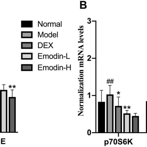 Comparison Of Hif P S K If E Bp And Eif E Mrna Levels In The