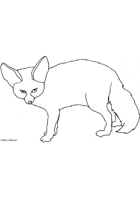 Coloriage Renard Fennec Coloriage Dessin A Colorier Imprimables