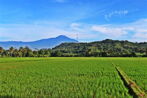 Free Images Nature Grass Horizon Mountain Cloud Meadow Prairie