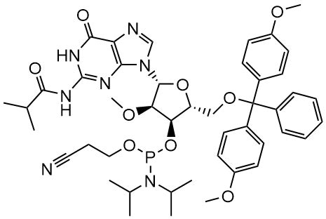 Phosphoramidites For Oligonucleotide Synthesis Boc Sciences