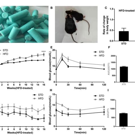 Figure High Fat Diet Induced Obesity Phenotype In Mice A High Fat