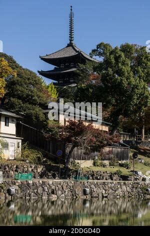 The Five Storied Pagoda In A Forest Of Cedar Trees With Deep Snow At