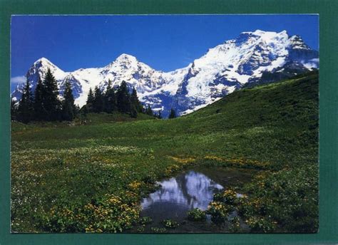 M Rren Allmendhubel Blick Auf Eiger M Nch Und Jungfrau Kaufen Auf