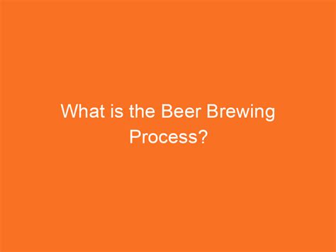 What Is The Beer Brewing Process Brew Gem