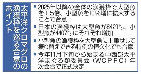 太平洋クロマグロの漁獲枠を巡る合意のポイント 大型マグロの漁獲枠15倍、国際会議で合意 資源回復を背景、日本は2807トン増 写真