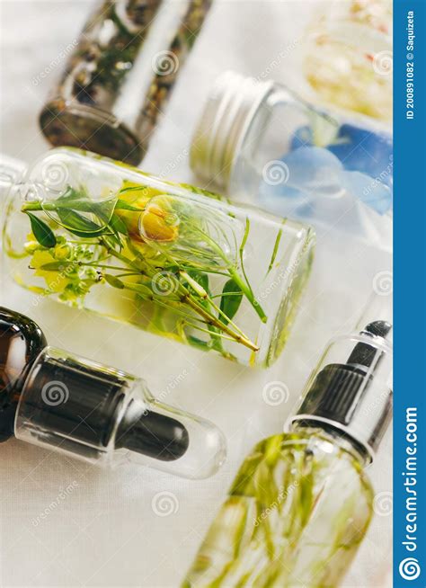 Transparent Bottles Of Essential Oil With Fresh Herbs Stock Photo