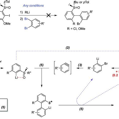 Attempts Of Atropodiastereoselective ARYNE Coupling Based On Tert Butyl