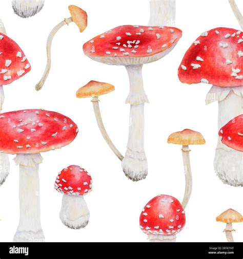 Watercolor Seamless Pattern Of Red Fly Agaric And Galerina Marginata