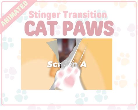 Cat Paws Stinger Transition | Cute Kitty OBS Animated Stream Transition