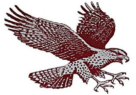 Umes hawks Logos