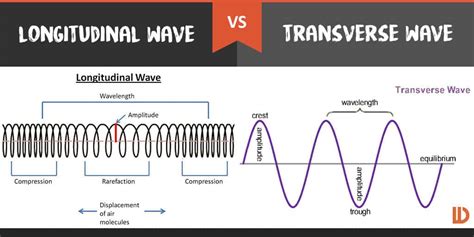 The Different Types Of Waves And How They Affect Us Wisuru