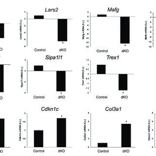 RT QPCR Based Validation Of Differentially Expressed Genes In Mafg