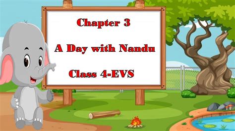 A Day With Nandu Chapter 3 Class4 Evs NCERT Kendriya Vidyalaya YouTube