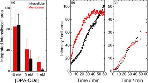 A Dpa Qd Uptake Within H By Live Hela Cells As A Function Of Np