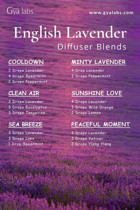 English Lavender Essential Oil Blend For Relaxation