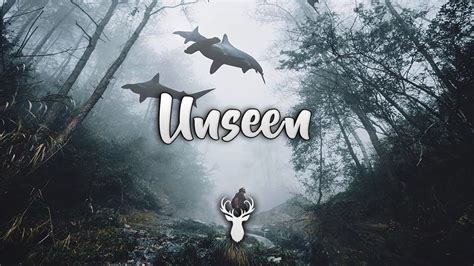 Unseen Beautiful Chill Mix YouTube