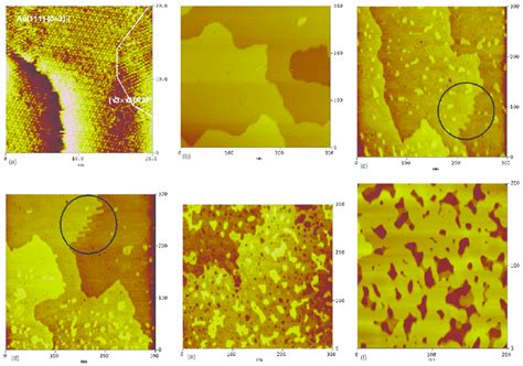 In Situ Stm Images Of A After Cu Upd On I Modified Au