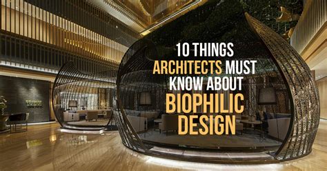 Biophilic Design Examples