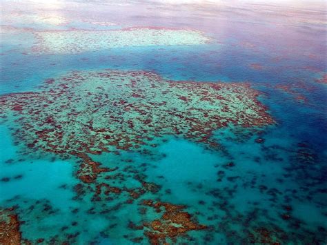 Great Barrier Reef Coral Australia Queensland Ocean Island Empire Aerial View Coral Reef