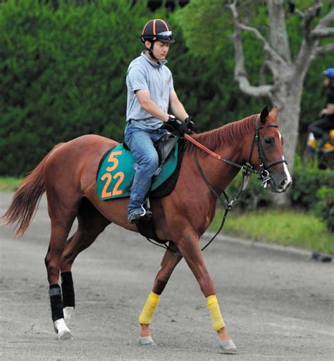 【pog】ナスノシンフォニー 注文つかない 古馬相手に互角以上の動き見せた競馬・レースデイリースポーツ Online