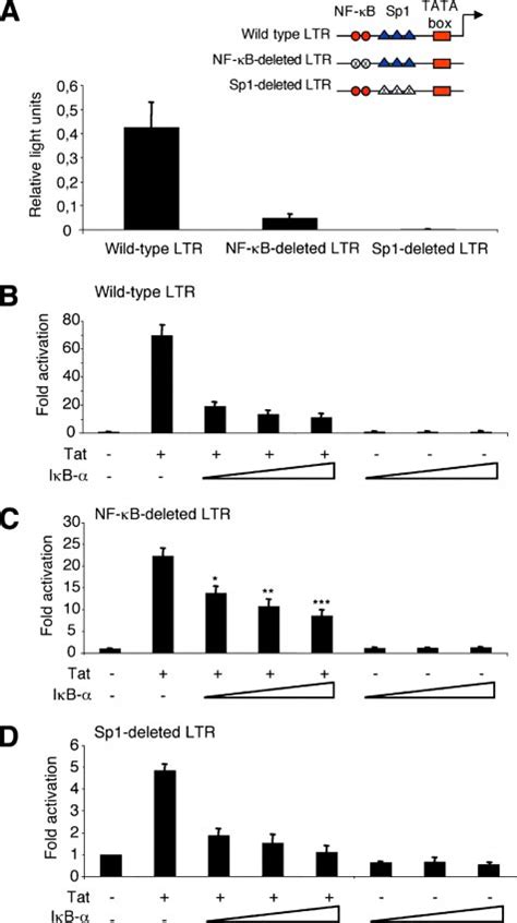 Ib Inhibits The Transactivation Of Hiv 1 Ltr By Tat Independently Of