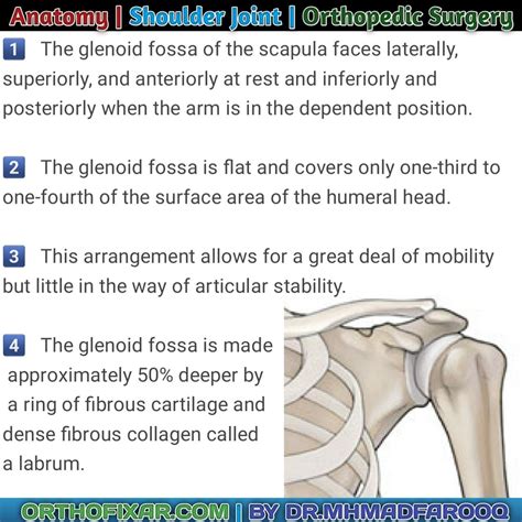 Ischial bursitis injection easy tutorial – Artofit