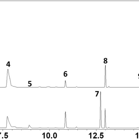 Gas Chromatographic Analysis Of Male And Female Orsilochides Leucoptera Download Scientific