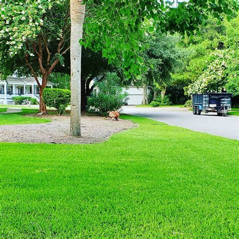 Dumpster Rental Charleston Sc Rent Dump Trailers