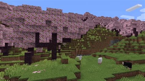 Minecraft 1 20 Trails And Tales Update Brings Cherry Blossom Biomes